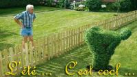 Lete-Cool.jpg